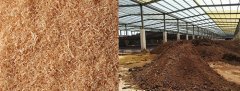 香蕉视频黄色片告訴你怎樣用木屑發酵成為生物有機肥